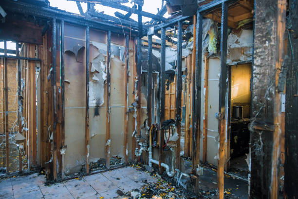 Professional Fire Damage Removal technician working in Annandale, VA
