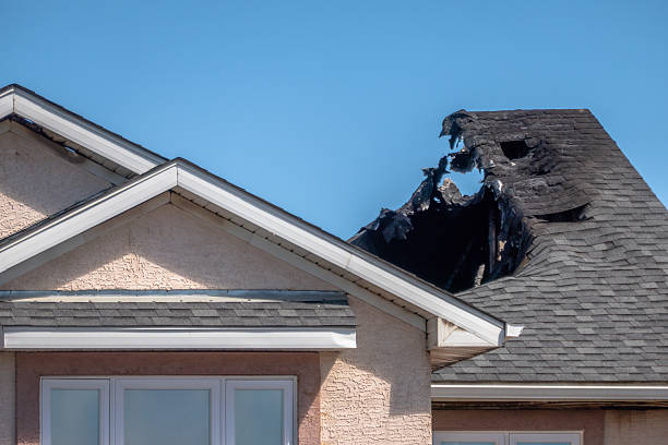 Top rated local Fire Damage Removal specialists in Annandale, VA